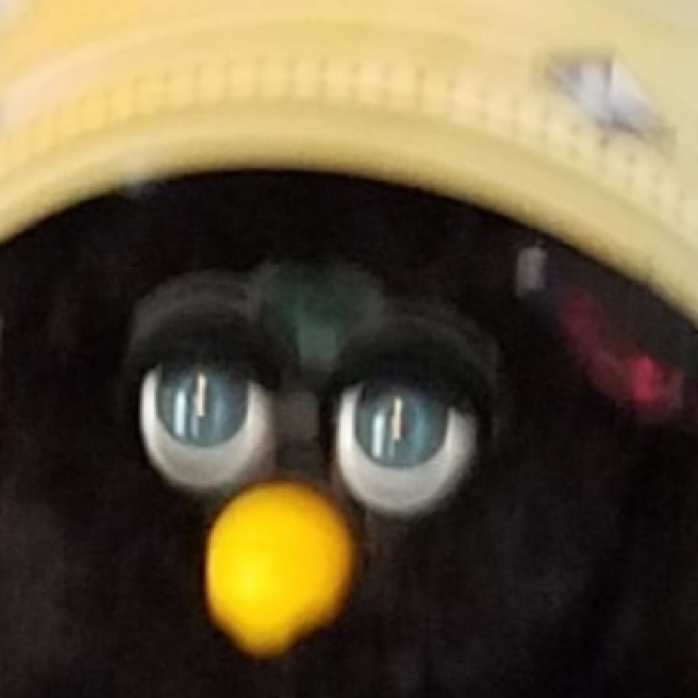 Meet your Posher, Abrianna